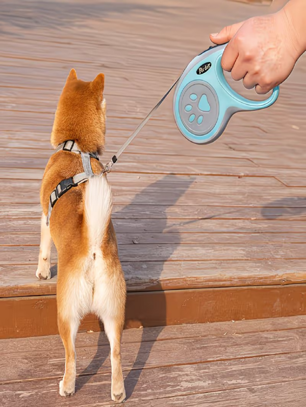 Correa retráctil para mascotas, para pasear perros al aire libre, manos libres, adecuada para entrenamiento, paseo de perros, entretenimiento al aire libre, conjunto de correa anti-escape para gatos y perros
