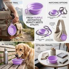 Folding Dog Dish, Pet Bowl Water For Dog Drinking Bowl Cat - Purple - View 3