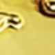 Gold-cat