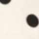 黑與白