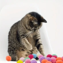 Cat Ball Launcher Toy, Includes 20/50/100 Balls - Interactive Fun - Exercise & Bonding - Ideal For Indoor Play (Random Color Launcher!!) - Multicolor - View 15