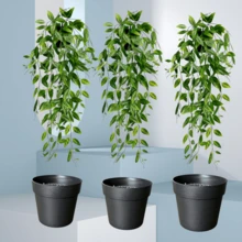 1/2件人造花瓶，仿真花與植物，適用於房間/客廳、牆面、辦公室、浴室、層架裝飾，婚禮與生日裝飾，適合春夏戶外與花園裝飾，入厝禮物 - 薄荷綠 - 查看 16