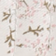 彩色