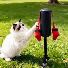 Saco de boxeo para gatos, juguete de actividad divertida para gatos, juguete de ejercicio para gatos con guantes de boxeo colgantes - Multicolor - Ver 6