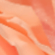 66044