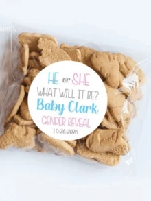 48pcs Customized Gender Reveal Stickers, Personalized "He Or She" Round Baby Shower Labels, Cute Pink & Blue Family Party Favor Candy, Back To School - Multicolor - View 6