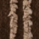 Chocolate Brown
