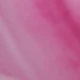 Rose Pink