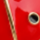 Black-spotted Ladybug