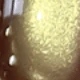 متعدد الألوان