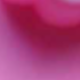 Cute Pink Pet Pattern