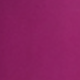 Violet Purple
