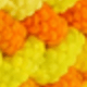 Multicolor