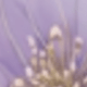 彩色