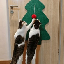 1 pezzo Tiragraffi a forma di albero di Natale + 1 pezzo Pallina rossa soffice, Tiragraffi verticale da parete ispessito e durevole, Protezione anti-graffio per divani, Tiragraffi resistente all'usura e ai graffi senza perdita di peli, Articolo essenziale di moda per proprietari di gatti, Adatto per pareti, porte, divani, torri per gatti, alberi per gatti, tappetini tiragraffi per gatti, decorazioni per animali domestici, case per gatti, giocattoli per gatti, giochi per gatti, forniture per gatti - Tavoletta verde + pompon rosso - Visualizzare 4