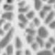 Silver-e1392