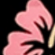 Hibiscus Kurumizawa