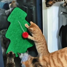 1 pezzo Tiragraffi a forma di albero di Natale + 1 pezzo Pallina rossa soffice, Tiragraffi verticale da parete ispessito e durevole, Protezione anti-graffio per divani, Tiragraffi resistente all'usura e ai graffi senza perdita di peli, Articolo essenziale di moda per proprietari di gatti, Adatto per pareti, porte, divani, torri per gatti, alberi per gatti, tappetini tiragraffi per gatti, decorazioni per animali domestici, case per gatti, giocattoli per gatti, giochi per gatti, forniture per gatti - Tavoletta verde + pompon rosso - Visualizzare 5