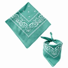 Women Scarves - Light Green - View 4