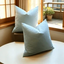 CLSUPER 超蓬鬆快速回彈鴨鵝絨枕芯 18x18/20x20/21x21/14x21 英吋，柔軟支撐靠墊芯，適用沙發床居家裝飾 - 白色 - 查看 29
