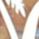 彩色