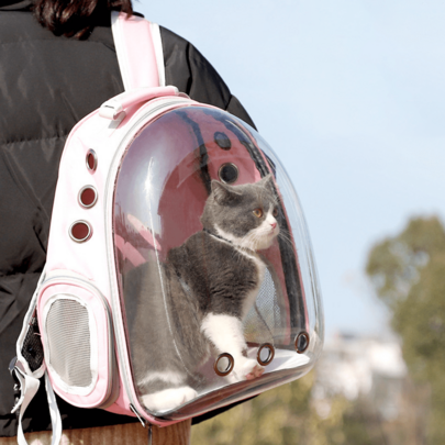 Large Capacity Cat Backpack, Transparent Breathable Pet Carrier, Portable Cat Bag, PC Material, Zipper Closure, Cat Backpack/Cat Bag