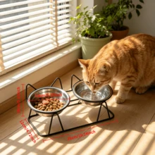 Cute Cat Ear Metal Stand Elevated Pet Bowl, Comes With Two 5.12 Inch Pet Bowls, Stable Iron Wire Frame Feeding Station, Detachable And Easy To Clean, Designed For Indoor Daily Feeding Of Kittens, Puppies And Small Dogs - 600ml - View 5