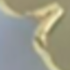 蝴蝶金色