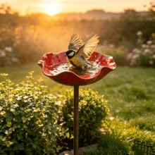 1件戶外鳥浴盆，紅色鳥食碗，適合花園，耐候性野鳥洗澡花園裝飾，適用於庭院或露台裝飾 - A - 查看 2