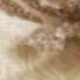 Snowflake-champagne+Champagne 07