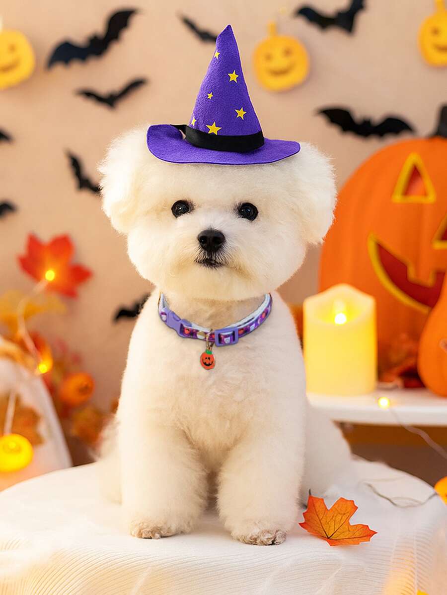 PETCIRCLE 1件寵物用品狗貓項圈 小狗裝飾配件項圈 萬聖節系列－南瓜項圈 - 彩色 - 查看 1