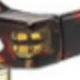 Tortoiseshell