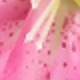 متعدد الألوان
