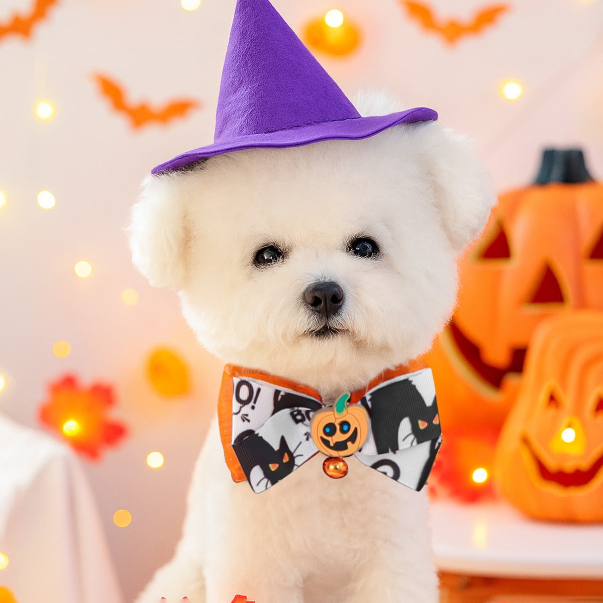 1PC Pet Accessory Small Dog Puppy Cute Halloween Party Photo Outfit Bowknot Halloween Glow-In-The-Dark Collar - Glow-In-The-Dark Pumpkin