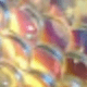 Multicolor