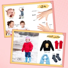 Early Learning Knowledge Series - Daily Life, Transportation, Dinosaurs, Household Essentials And Body Awareness Vocabulary Activities - 知識 - 查看 5