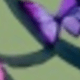 多色