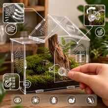 Transparentes Acryl Insekten Terrarium Haus, Spinnen Habitat mit magnetischer Frontöffnung, Belüftungslöchern und oberem Futterport für Springspinne, Vogelspinne, Mantis, Skorpion, Schnecke und Baby G - Transparent - Übersicht 5
