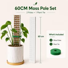 High Plastic Moss Pole Plant Climbing Support Stake For Potted Plants And Ivy, 60CM Climbing Pole (2pcs + 1 Hook And Loop Strap) - C - View 4