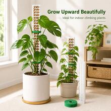 High Plastic Moss Pole Plant Climbing Support Stake For Potted Plants And Ivy, 60CM Climbing Pole (2pcs + 1 Hook And Loop Strap) - C - View 6