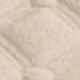 أبيض