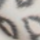 咖色