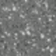 Black + Screen Protector