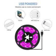 1件 16.4英尺 USB供電 LED植物生長燈條，全光譜多肉植物補光燈，適合多肉植物、室內植物與花園種苗培育 - plant light strip - 查看 9