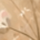 彩色