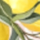 彩色