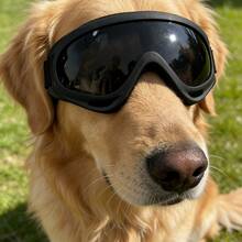 Pet Goggles For Large Dogs 25-80 Lbs, UV Protection, Adjustable Strap, Anti-Fog Outdoor Running Eye Protection Gear - Multicolor - View 13