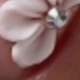 彩色