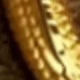 Cobra