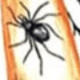 Halloween Bow